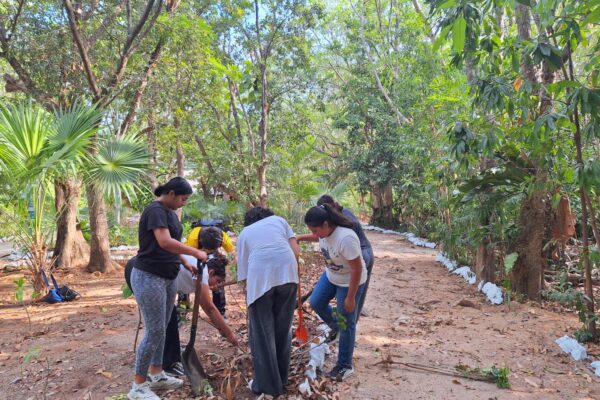 SESIÓN DE REFORESTACIÓN, “SUSTITUCIÓN DE PLANTAS DE ORNATO A PLANTAS NATIVAS”