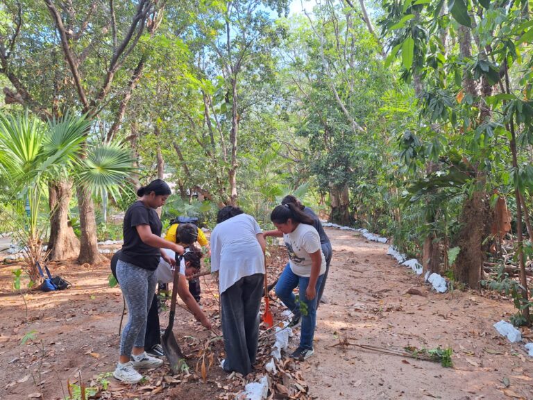 SESIÓN DE REFORESTACIÓN, “SUSTITUCIÓN DE PLANTAS DE ORNATO A PLANTAS NATIVAS”