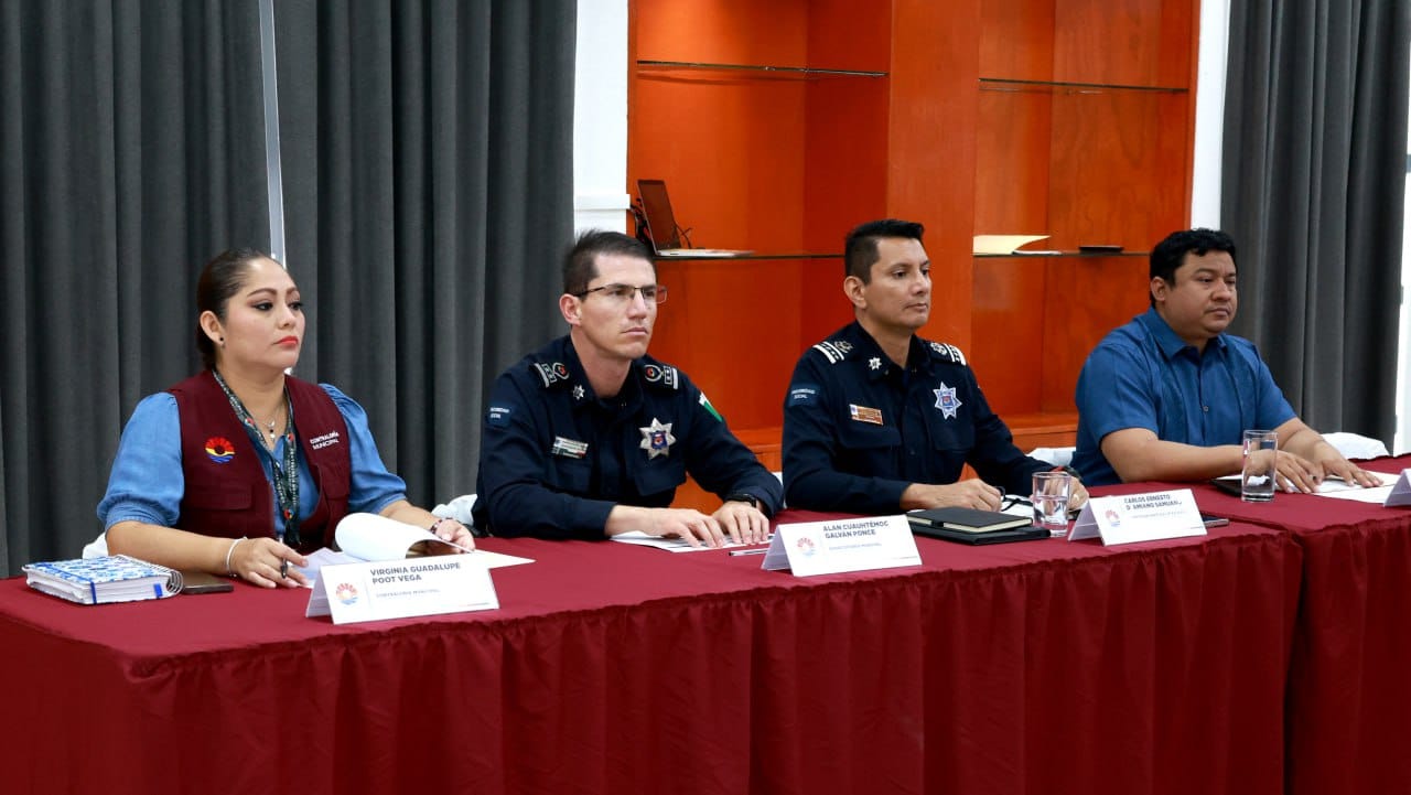 INSTALACIÓN DE COMISIONES COLEGIADAS DEL CONSEJO MUNICIPAL DE SEGURIDAD CIUDADANA