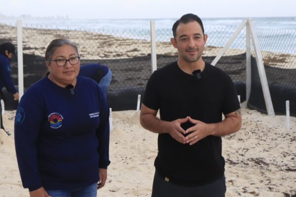 REFUERZAN MEDIDAS PARA PROTEGER HUEVOS DE TORTUGAS MARINAS