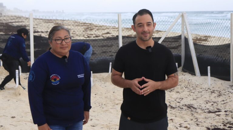 REFUERZAN MEDIDAS PARA PROTEGER HUEVOS DE TORTUGAS MARINAS