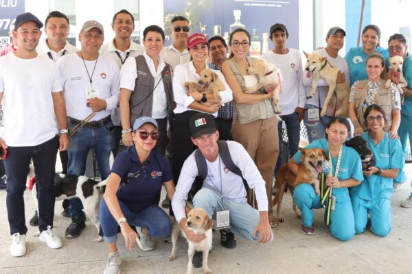 CREA ANA PATY PERALTA CULTURA DE PROTECCIÓN AL CUIDADO DEL MEDIO AMBIENTE Y A LOS ANIMALES