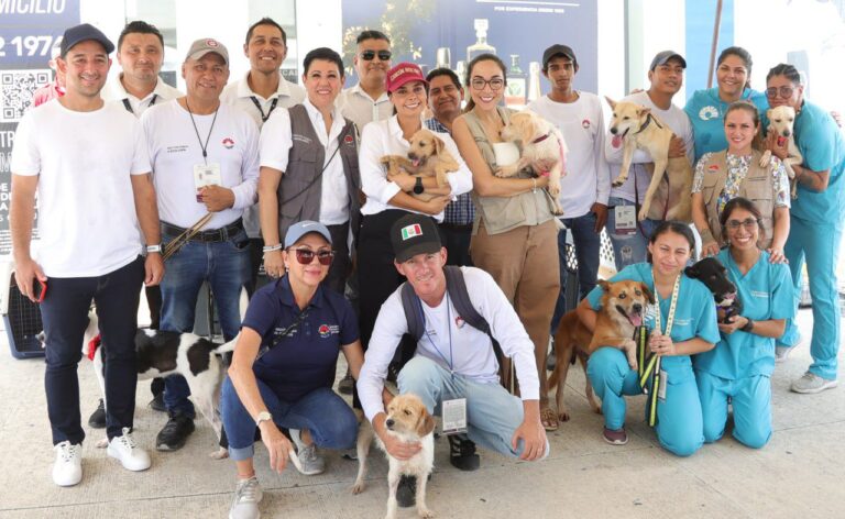 CREA ANA PATY PERALTA CULTURA DE PROTECCIÓN AL CUIDADO DEL MEDIO AMBIENTE Y A LOS ANIMALES