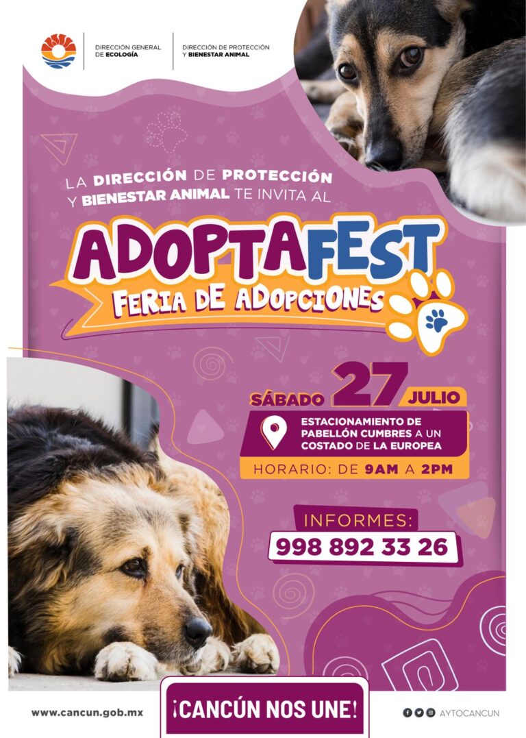 INVITAN GOBIERNO DE BENITO JUÁREZ A FERIA DE ADOPCIÓN DE PERROS Y GATOS RESCATADOS