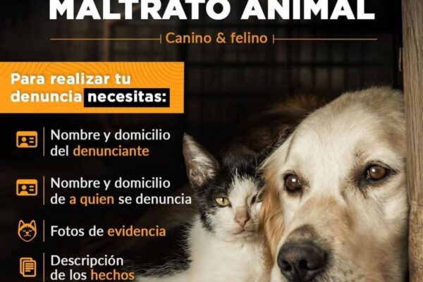 AUTORIDADES DE BJ INVITAN A DENUNCIAR ACTOS DE MALTRATO ANIMAL