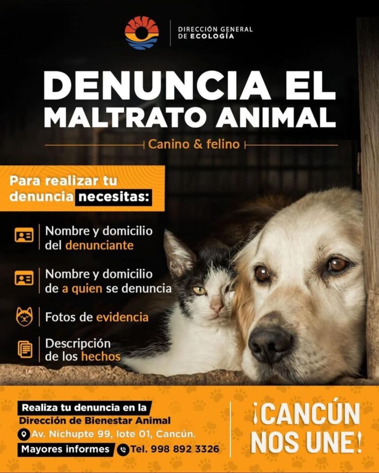 AUTORIDADES DE BJ INVITAN A DENUNCIAR ACTOS DE MALTRATO ANIMAL